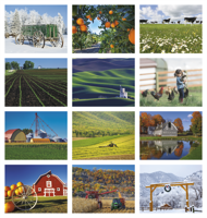 Agriculture - Spiral 7047_25_4.png